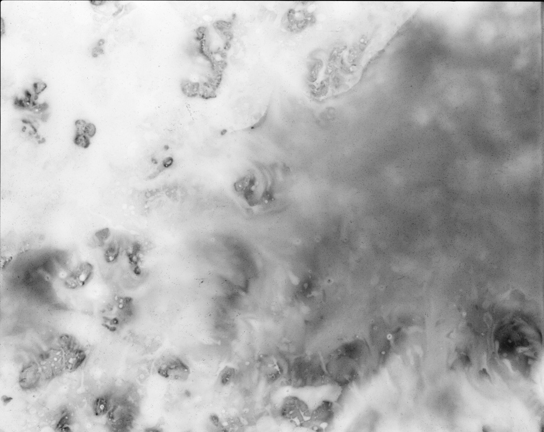 s-003 film